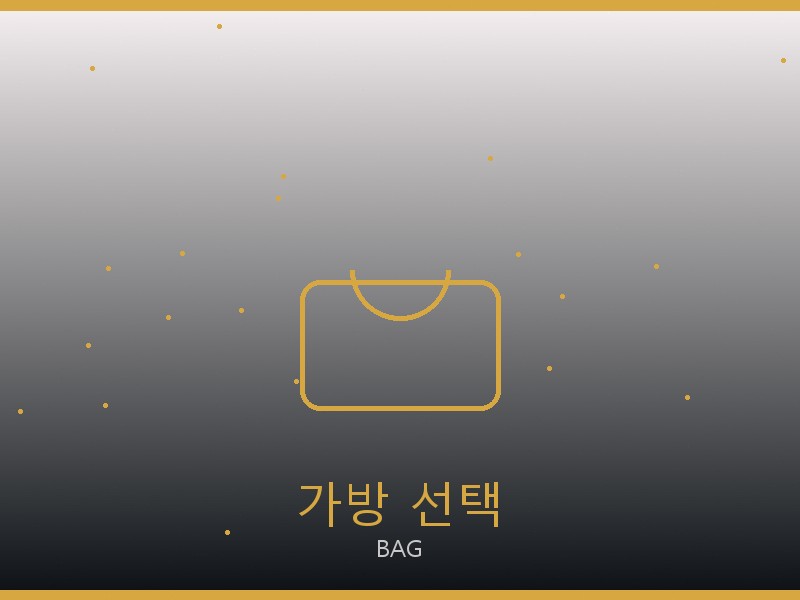 디올 캐리올 PM 레플리카 가방 선택 가이드