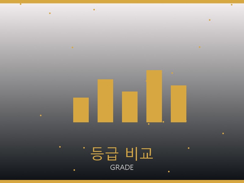 디올 캐리올 PM 레플리카 등급 기준 비교