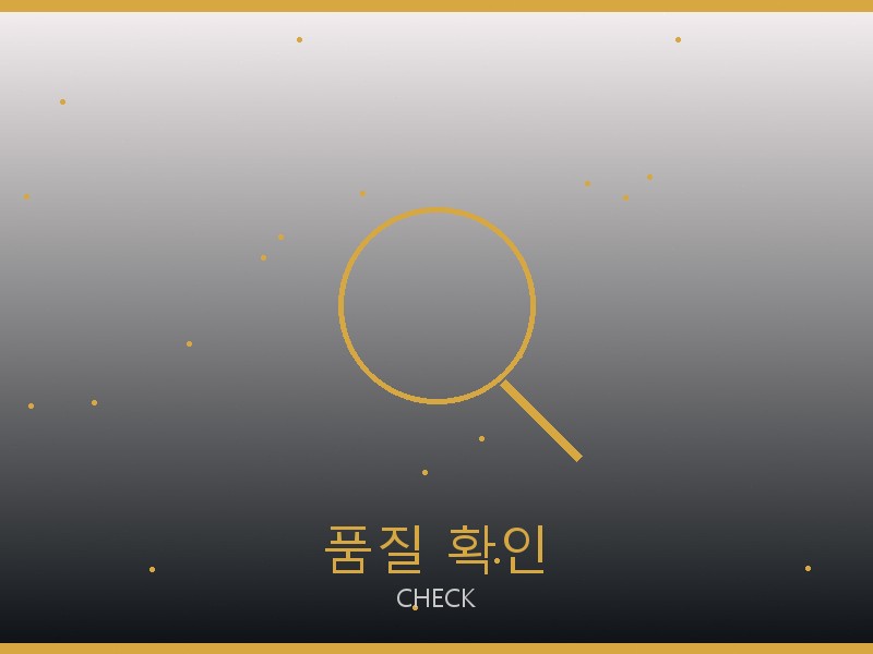 디올 캐리올 PM 레플리카 품질 확인 체크포인트