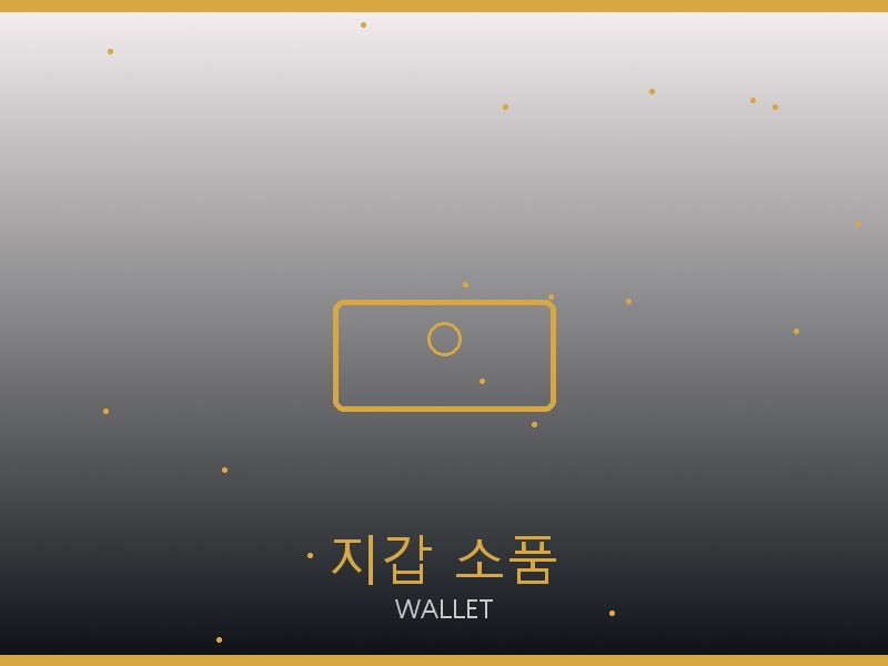 디올 캐리올 PM 레플리카 지갑·소품 관리